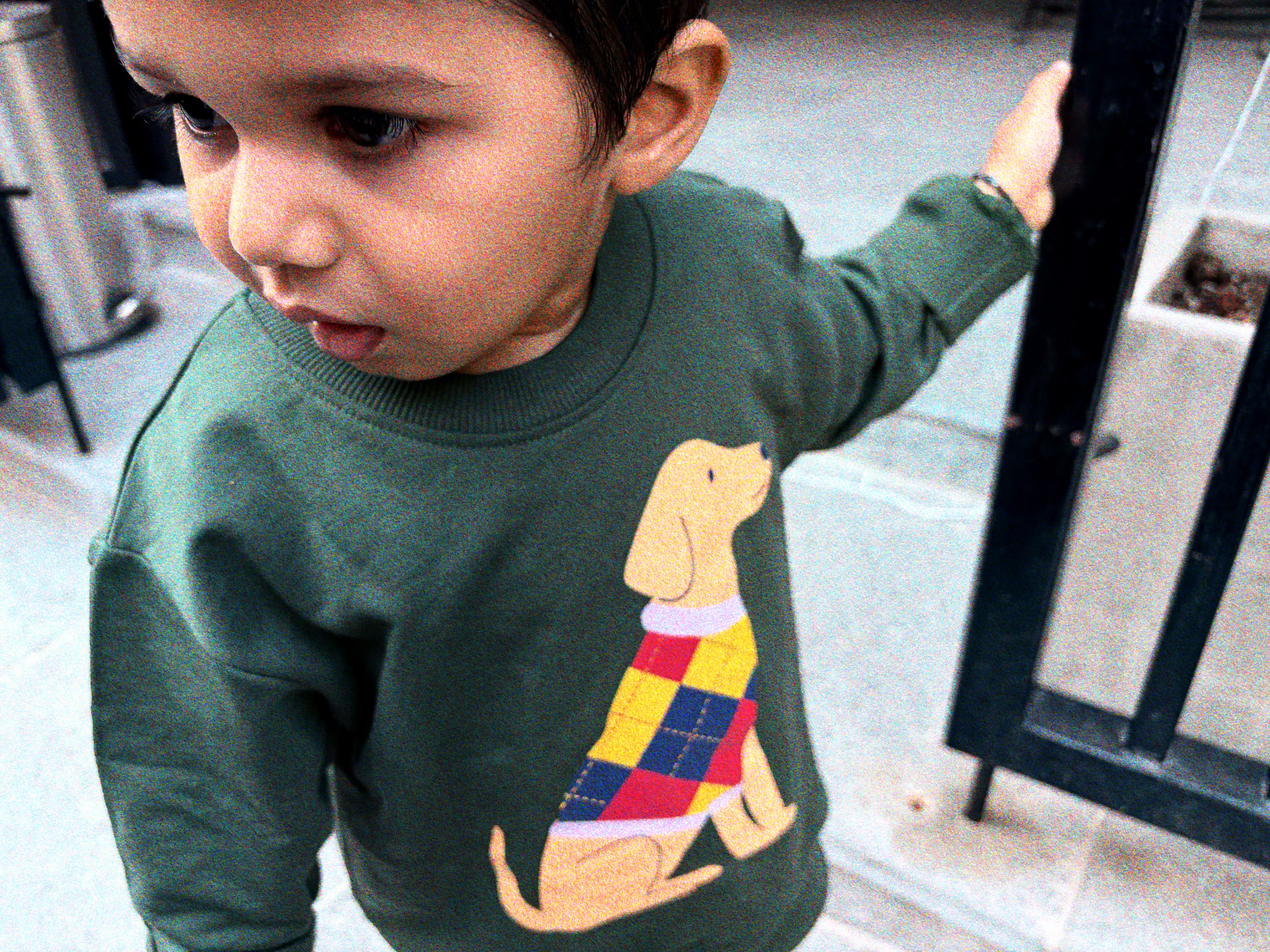 The Scout Dog Sweatshirt