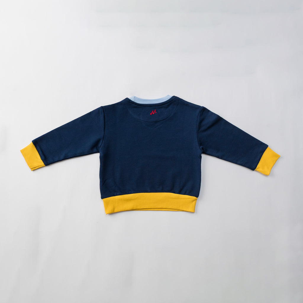 The Color Block Sweatshirt